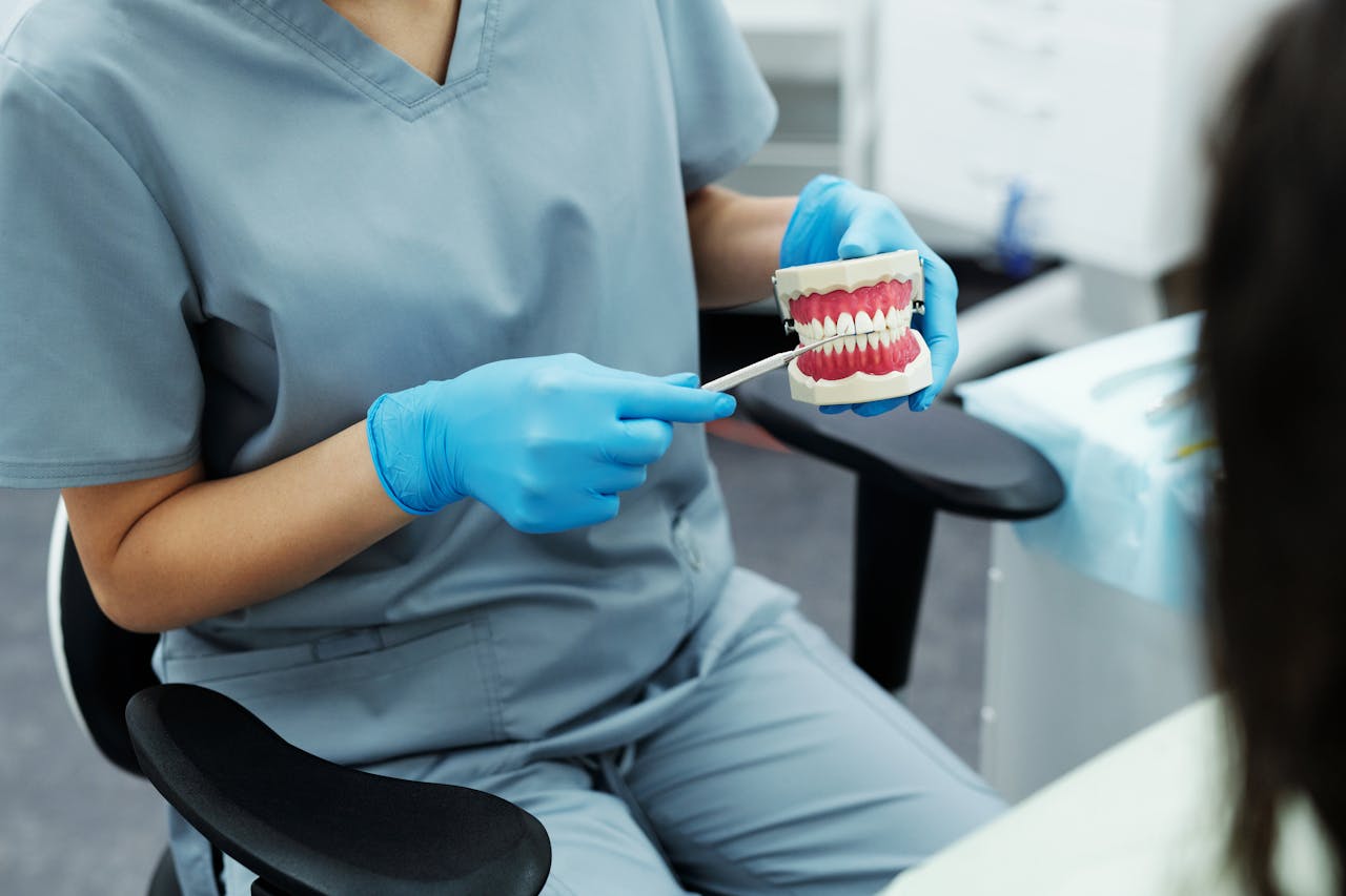 Dentist in scrubs and gloves demonstrating dental care using an oral model.